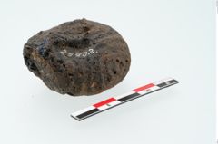 Foto von Glasaugenperle (NHMW-PRAE-025402)